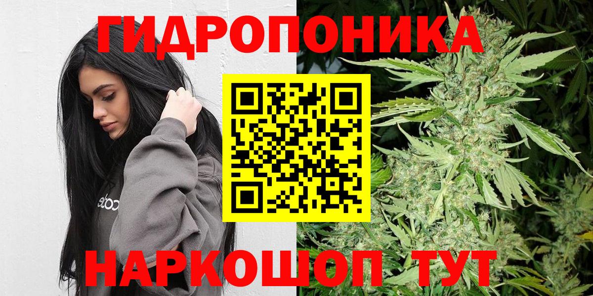 Конопля семена  Вход с VPN  Каннабис семена  Курчатов  Бошки марихуана марихуана 